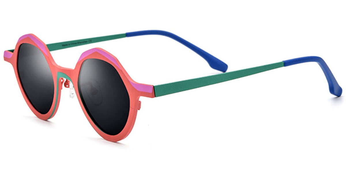 Titanium Geometric Sunglasses SG6435