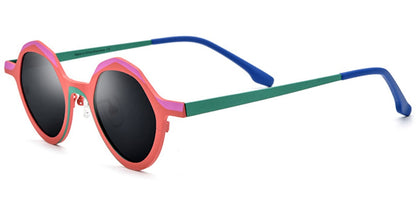 Titanium Geometric Sunglasses SG6435