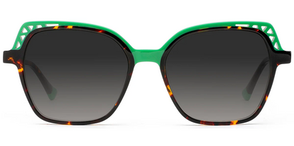 Acetate Square Sunglasses SG7592