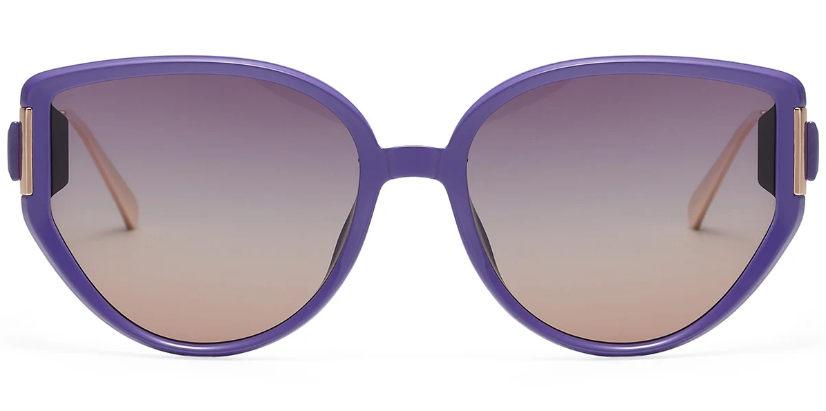 Geometric Sunglasses SG8148