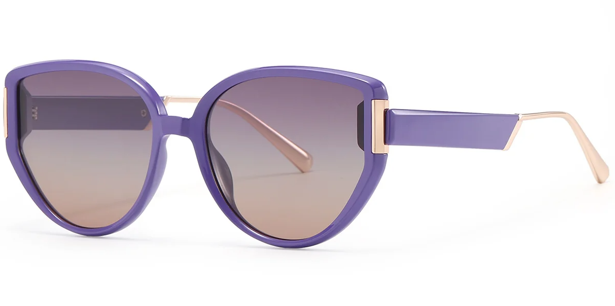 Geometric Sunglasses SG8148