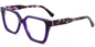 Acetate Square Frame F6995