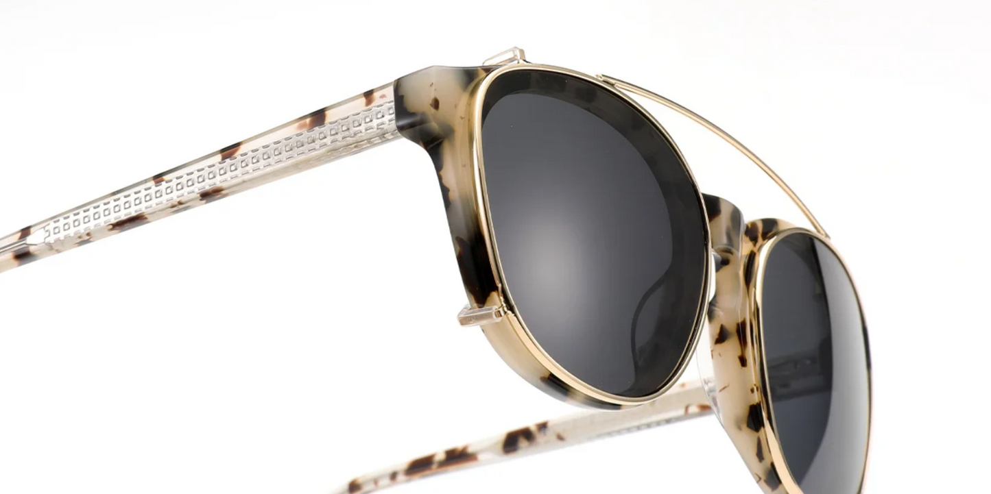 Acetate Square Frame F6577