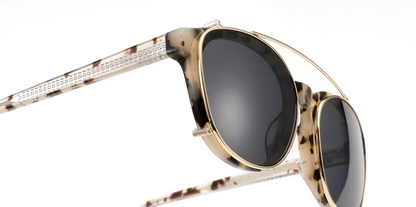 Acetate Square Frame F6577