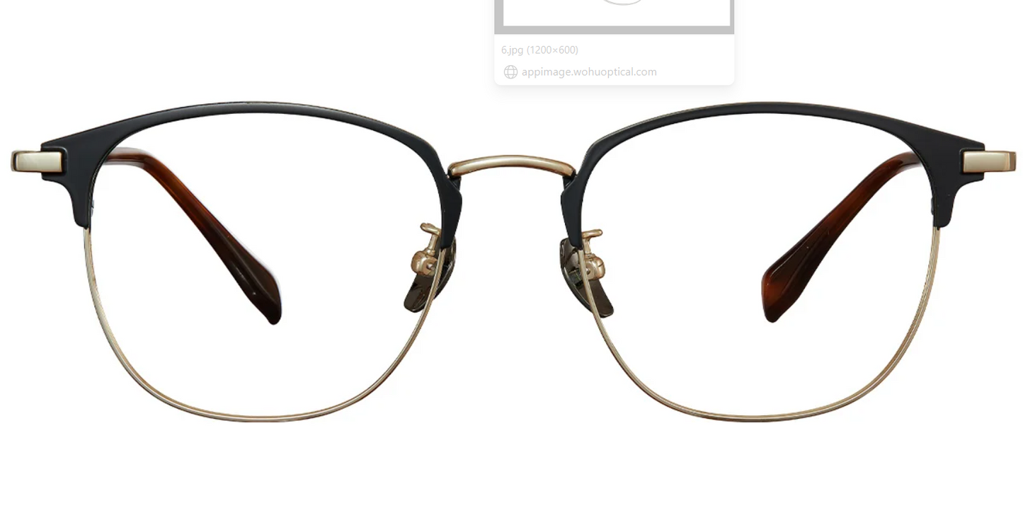 Titanium Oval Frame F5451