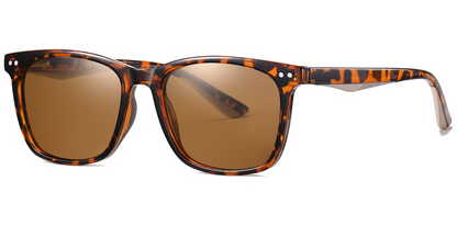 Square Sunglasses SG7278