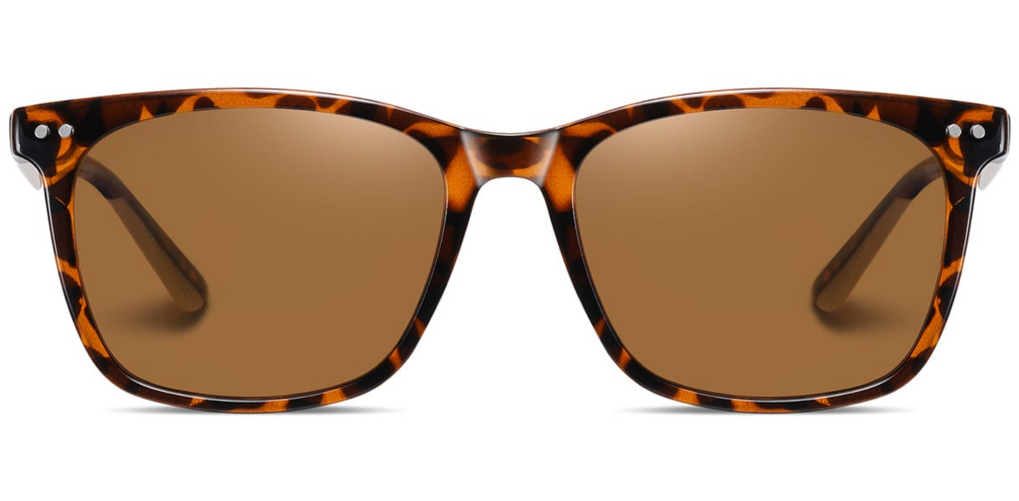 Square Sunglasses SG7278