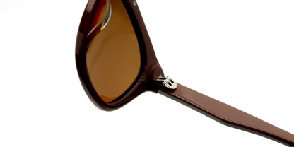 Acetate Aviator Sunglasses SG4623