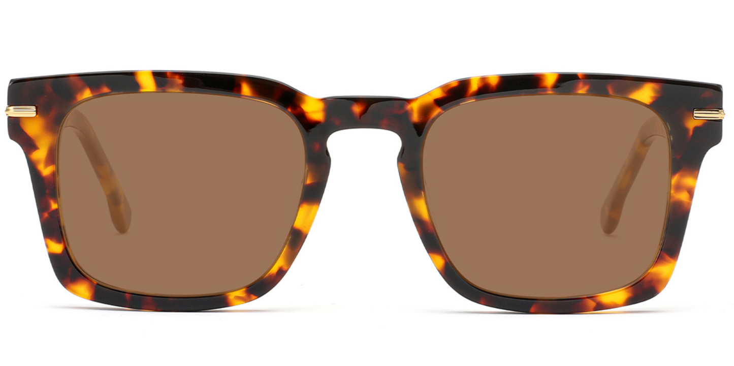 Acetate Square Sunglasses SG6984