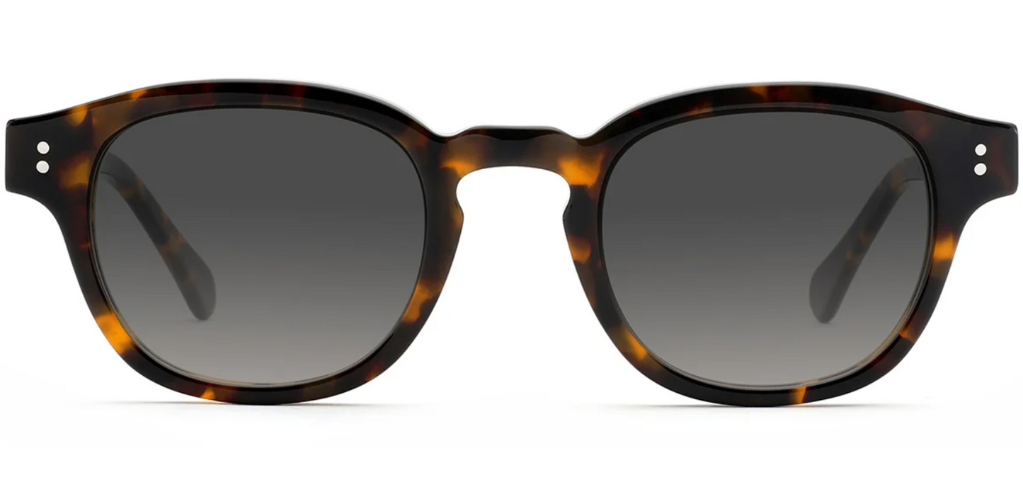 Acetate Square Sunglasses SG8246