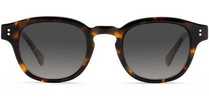 Acetate Square Sunglasses SG8246