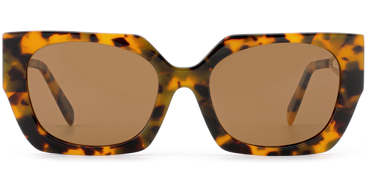 Acetate Square Sunglasses SG6944