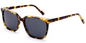 Acetate Square Sunglasses SG4882