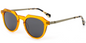 Acetate Geometric Sunglasses SG6966