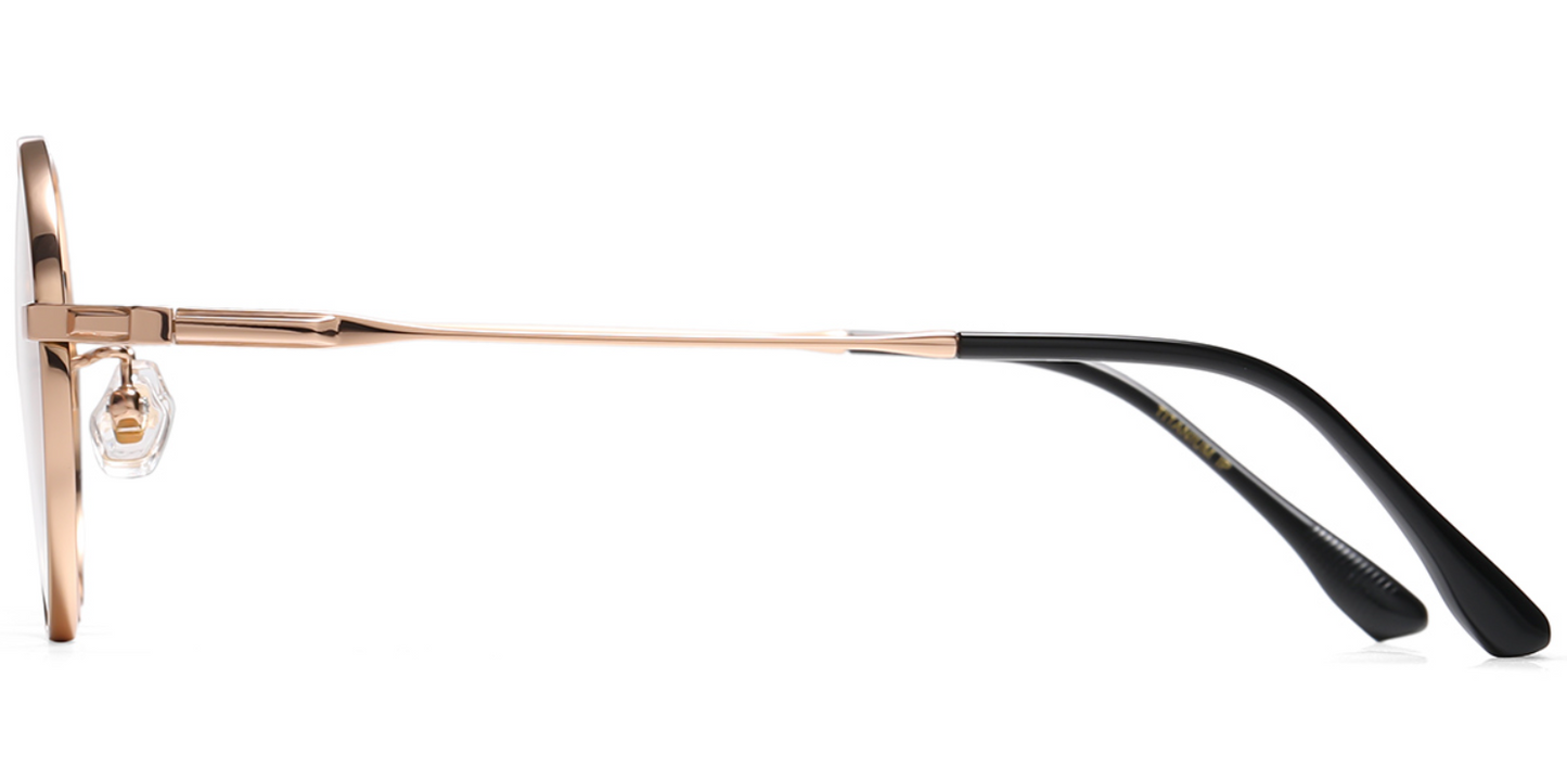 Titanium Round Frame F6562