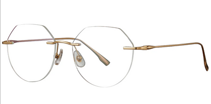 Titanium Geometric Frame F3689