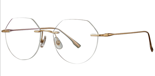 Titanium Geometric Frame F3689