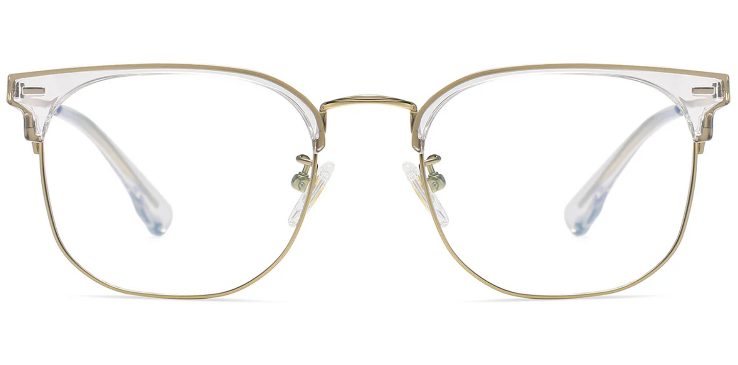 Titanium Browline Frame F6611