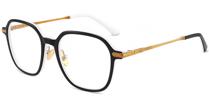 Titanium&Acetate Geometric Frame F4156