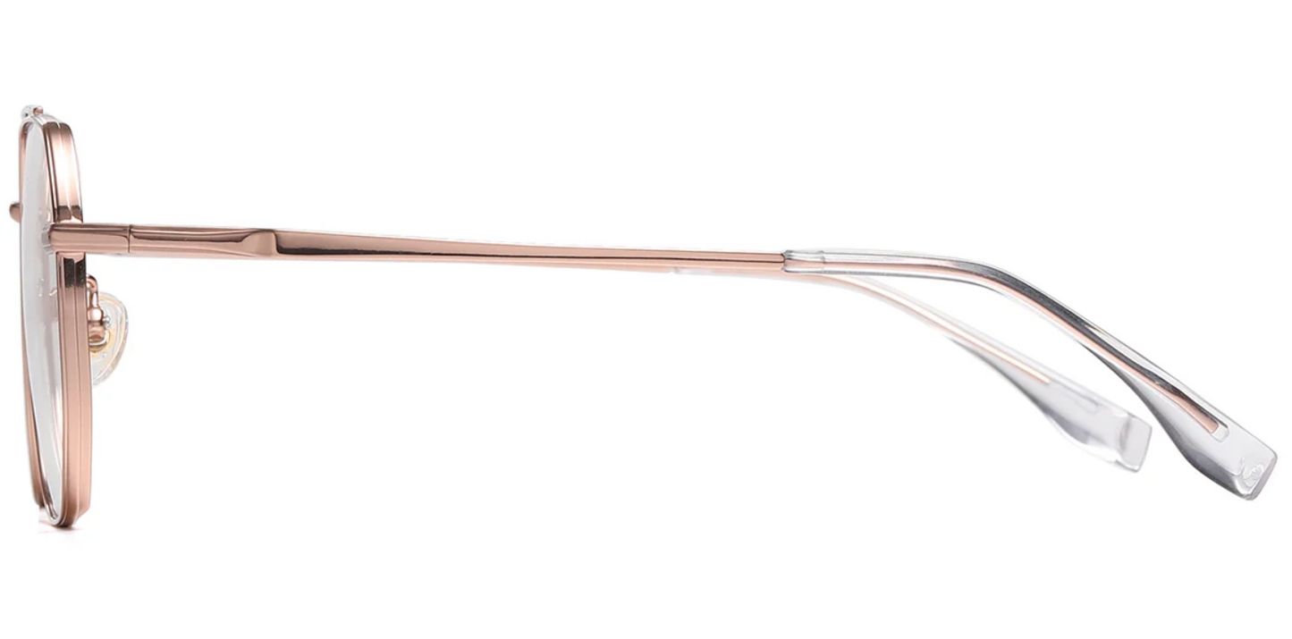 Titanium Aviator Frame F6613