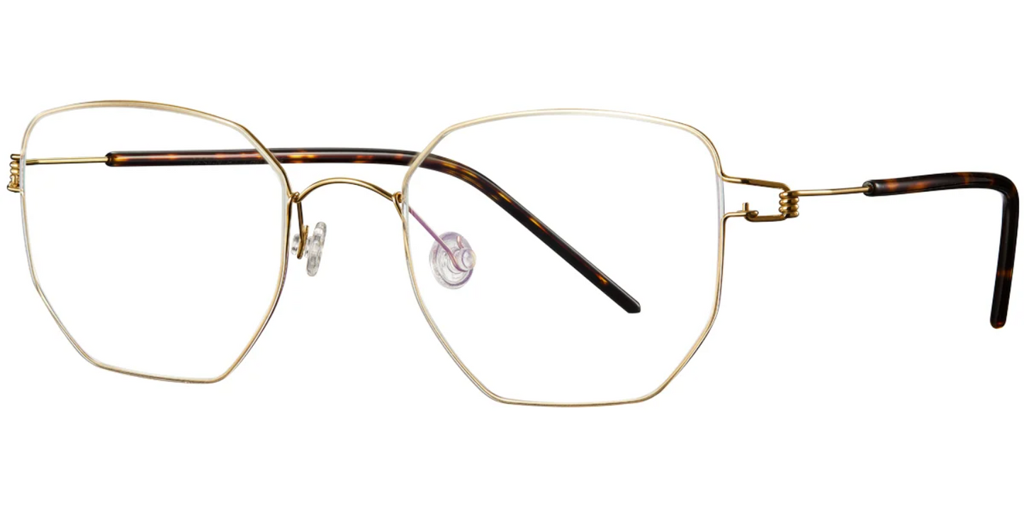 Titanium Geometric Frame F4295