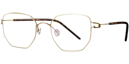 Titanium Geometric Frame F4295