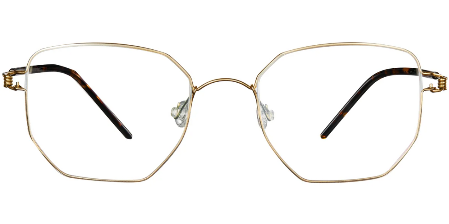 Titanium Geometric Frame F4295