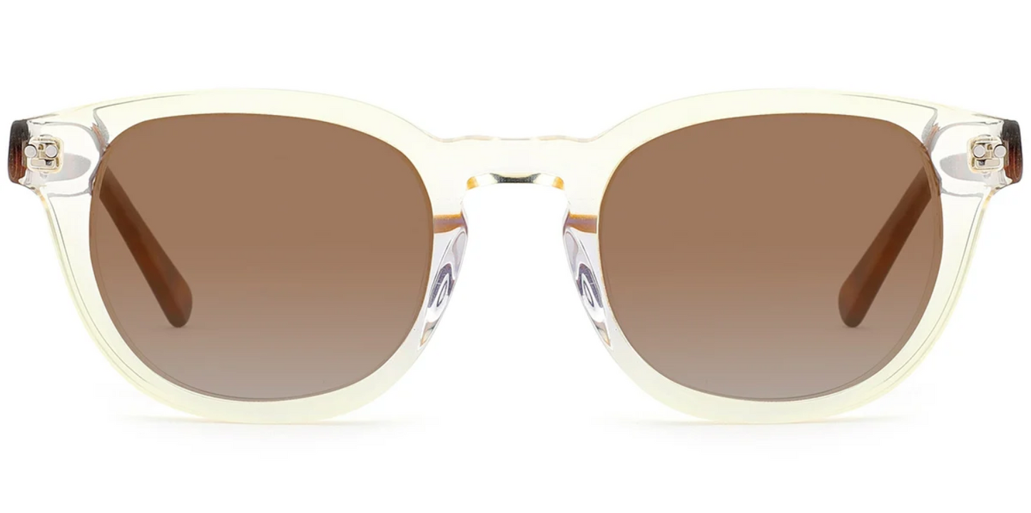 Acetate Square Sunglasses SG8269
