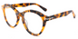 Acetate Oval Frame F2458