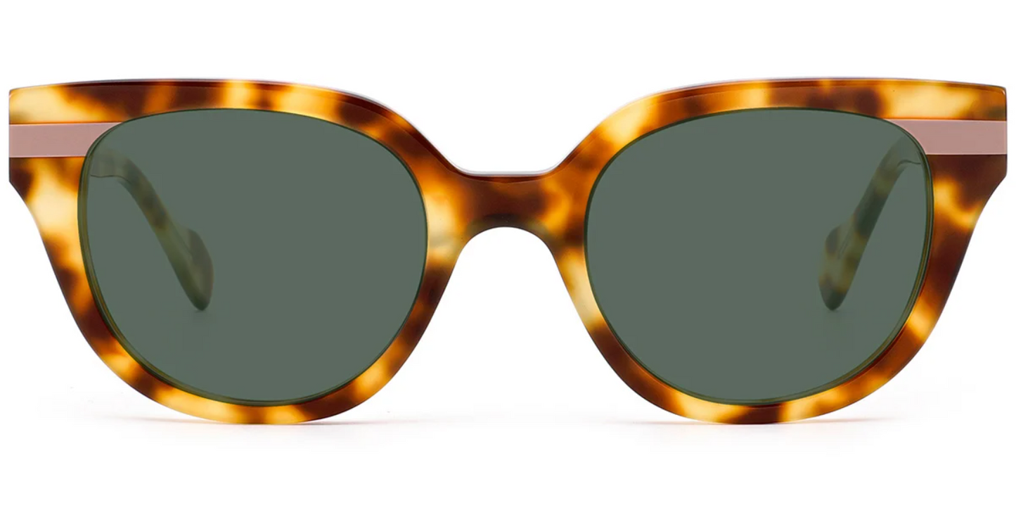 Acetate Square Sunglasses SG8621