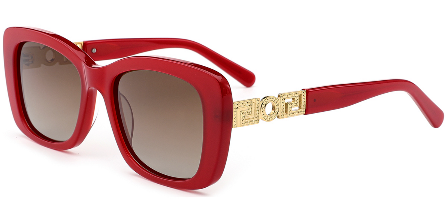 Acetate Square Sunglasses SG7584