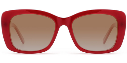 Acetate Square Sunglasses SG7584