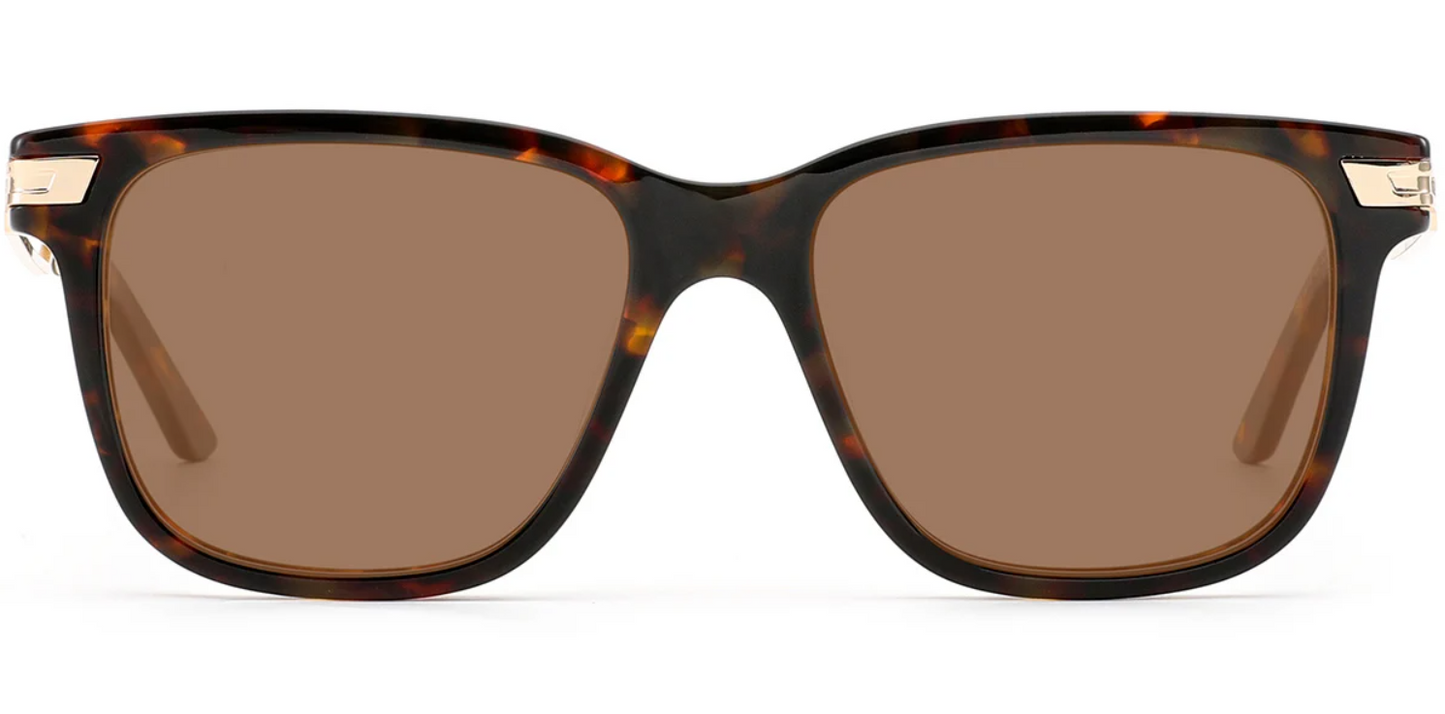 Acetate Square Sunglasses SG8636