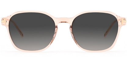 Acetate Square Sunglasses SG8610