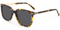 Acetate Square Sunglasses SG8606