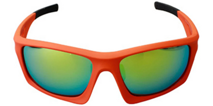 Rectangle Sunglasses SG6287