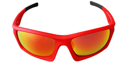 Rectangle Sunglasses SG6287