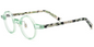 Acetate Round Frame F6894