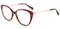 Acetate Cat Eye Frame F2429