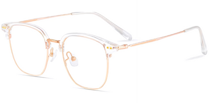 Titanium Browline Frame F8062